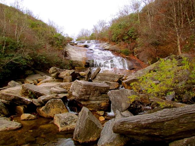 Pisgah National Forest